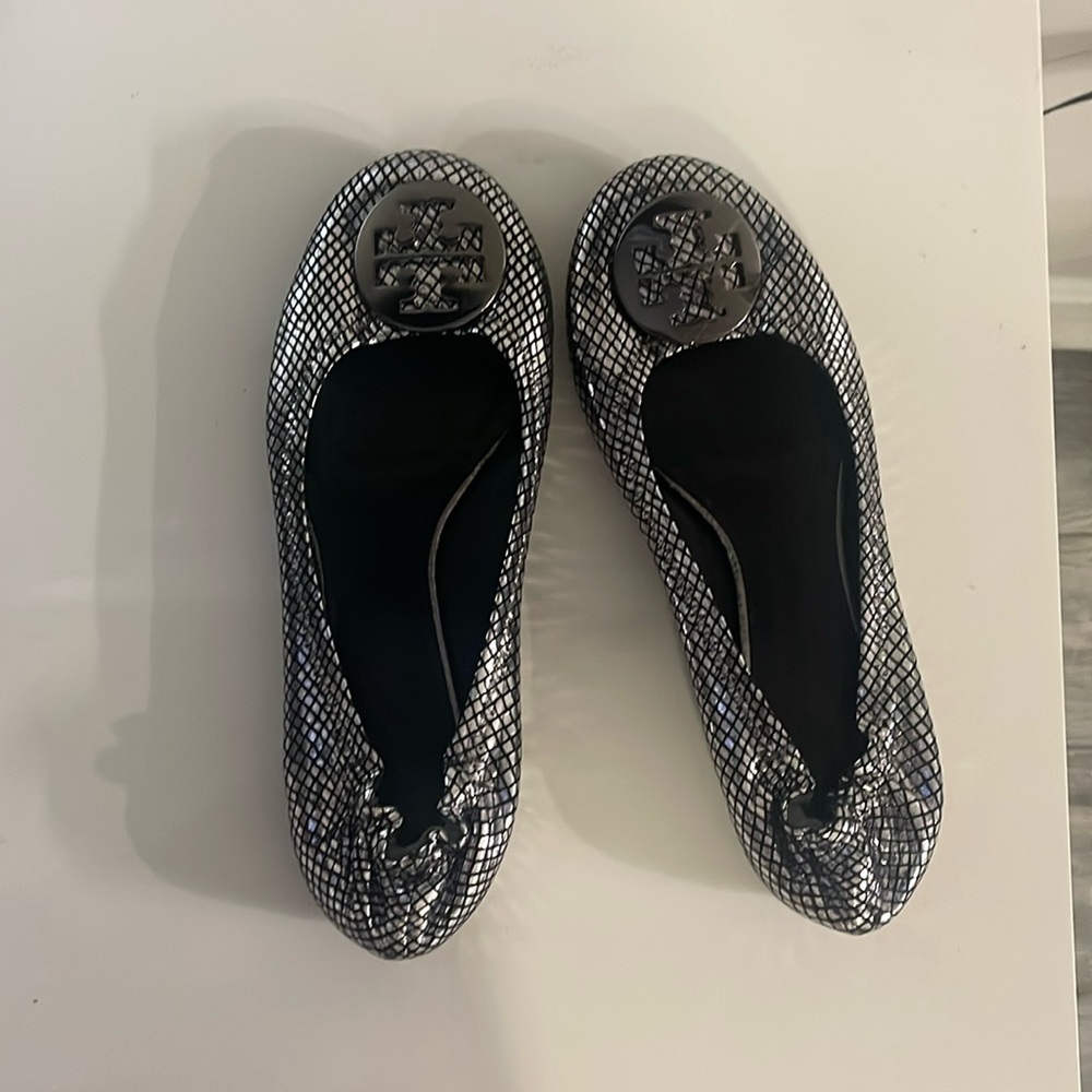 Metallic Silver